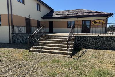 Spațiu comercial, de 30 mp, în Hanu Conachi - 2