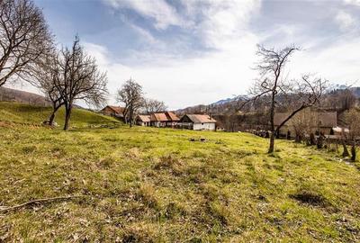 FILM! Rezidenta traditionala, peisagistica impresionata, domeniu de 6.500mp, Moi FILM! Rezidenta traditionala, peisagistica impresionata, domeniu de 6.500mp, Moi - 3