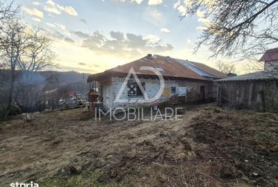 Casă cu 4 camere cu Teren 1748 Mp în Cernișoara - 11