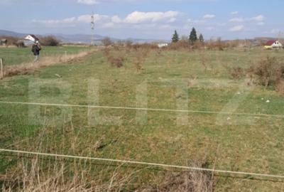 Teren de 5000 mp, în Dej - 2