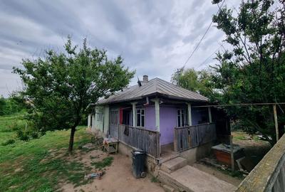 Casă cu 3 camere în Podu Turcului - 8