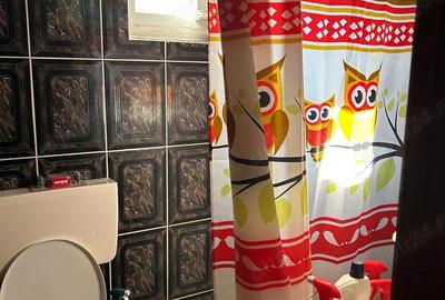 Apartament cu 4 camere decomandat în Ultracentral - 5