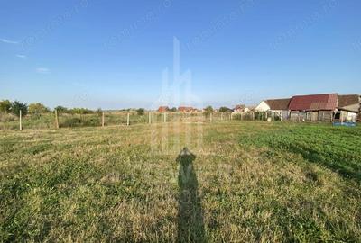 Teren de 400 mp, în Șura Mică - 1