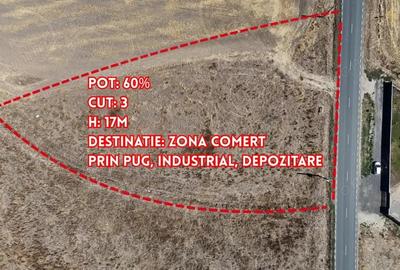 Oportunitate de afacere in Balaceanca - Teren de vanzare