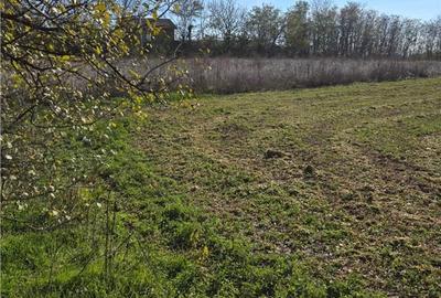 Spațiu comercial, în Daia - 2