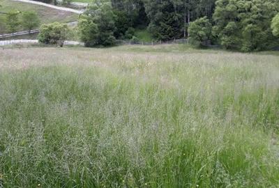 Casă cu 6 camere cu Teren 17846 Mp în Central - 1