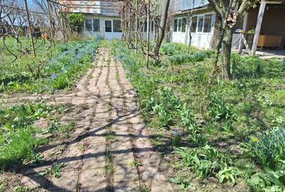 Casă cu 6 camere în Central - 3