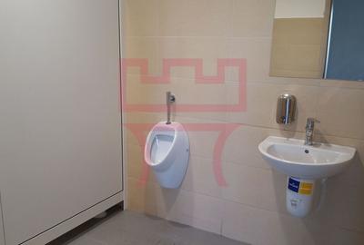 Hala  noua pod rulant, rampa, platforma betonata, birouri, pret curent - 10