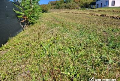 Teren de vanzare – Popesti Vale, 3600 mp - 6