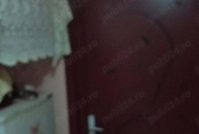 Vand apartament confort I 2 camere, vedere spre faleza, zona sud. - 1