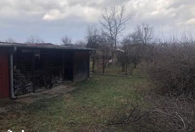 Casă cu 3 camere cu Teren 1768 Mp în Drajna - 20