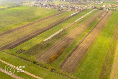 Parcele de 550 mp in Livada, cu toate utilitatile la strada - 6