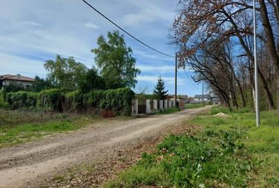 Teren de 1.632mp langa padurea din Mogosoaia - FRF!