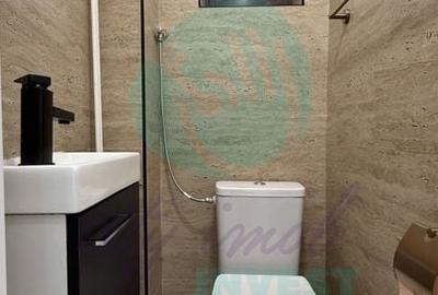 3 camere Tineretului - parter înalt, renovat, curte verde - 9