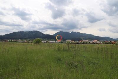 Teren  intravilan13100 mp pentru dezvoltare imobiliara - 9