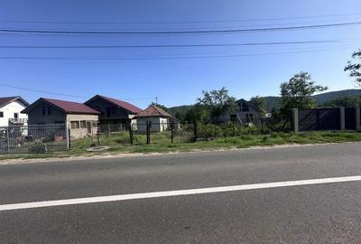 Casă cu 3 camere în Mierea - 1