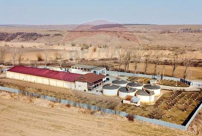 Crama din Buciumeni Afacere la cheie - 17