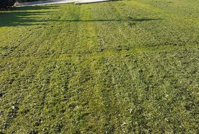 Casă cu 5 camere cu Teren 1200 Mp în Ștefănești - 3