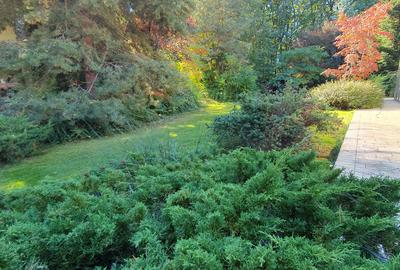 Vila S+P+1+M 650mp Paradisul Verde libera Vezi VIDEO - 11