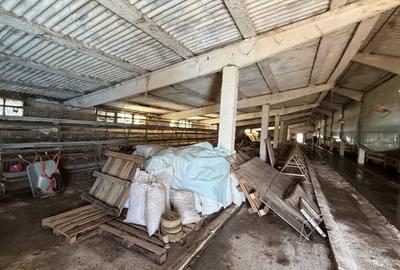 Spațiu industrial, de 729 mp, în Beclean - 2