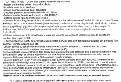 Casă cu 5 camere cu Teren 4443 Mp în Nicolae Bălcescu - 12