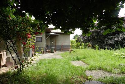 Casă cu 5 camere cu Teren 2300 Mp în Băicoi - 5