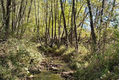 Casă cu 4 camere cu Teren 3400 Mp în Cornițel - 7