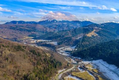 Teren intravilan de 10000 mp, în Brădet - 8