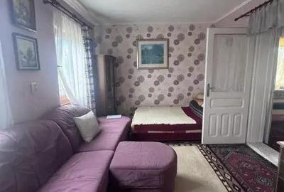 Casa si teren 4300mp, Horodnic de Jos - 8