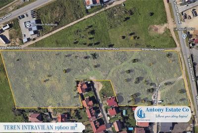 Teren de 19600 mp, în Centura - 1