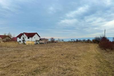 Teren intravilan 3500 mp cu vedere panoramica asupra Clujului, Dambul Rotund - 2