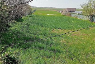Teren de 6300 mp, în Vasile Alecsandri - 3