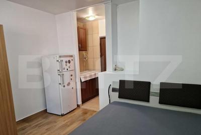 Garsoniera, 20 mp, zona Pacurari-Moara de Foc - 3