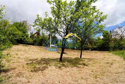 Teren Intravilan de vanzare, Cornu de Jos Prahova - 3