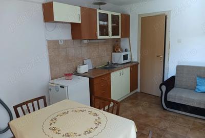 Casa frumoasa, ideala pentru 2 familii, zona linistita, localitatea Zizin, direct de la proprietar - 4