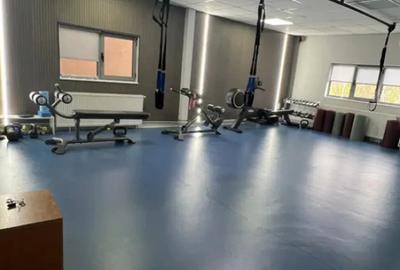 Spațiu comercial, de 440 mp, în Brazda lui Novac - 1