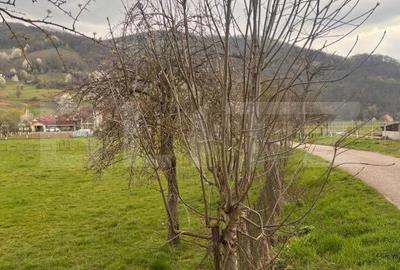 Teren de 1200 mp, în Central - 5