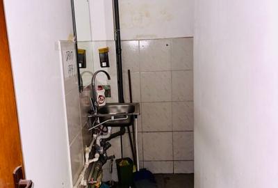 Armeneasca - Bd. Carol I stradal spatiu comercial 54 mp utili - 6