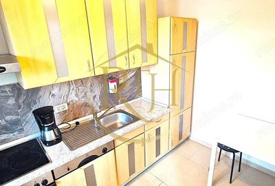 Apartament cu 2 camere premium de inchiriat zona Buziasului - 11