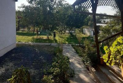 Casa Beregsau Mic caramida strada principala ,teren mare - 7