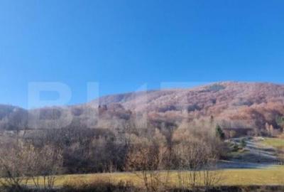 Teren extravilan - Sita Buzaului -6800 mp posibilitate trece - 15