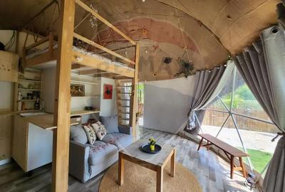 Teren de 1046 mp, în Valea Borcutului