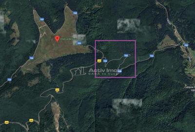 Teren de 69450 mp, în Arefu