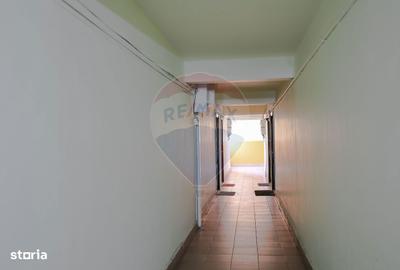 Garsonieră în Nufărul - 12