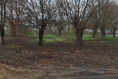 Spațiu comercial, în Central - 3