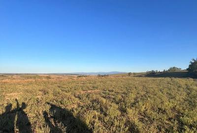 Spațiu comercial, în Cutina - 4