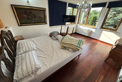 Proprietate cu piscina Dumbravita - 56