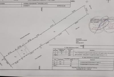 Mioveni - Cosesti - stradal, IDEAL  LOCUINTA/SPATIU COMERCIAL/intravilan 1250 mp - 8