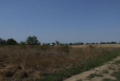 Domnesti-Ciocarliei(Afinului-Fragilor). - 7