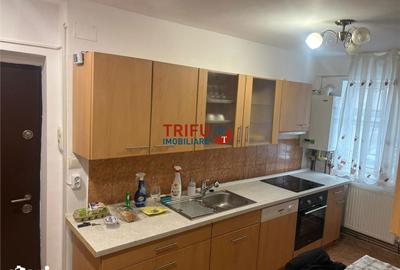 Apartament cu 2 camere decomandat în Cetate - 11